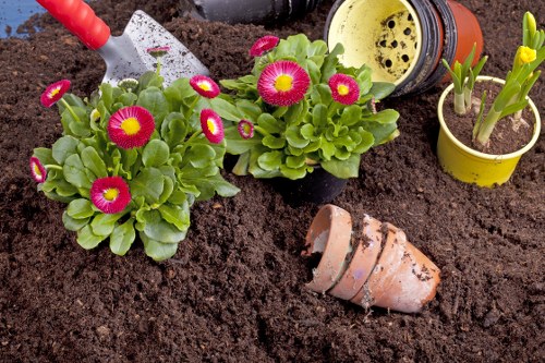 Landscape gardeners in Chingford designing a residential garden