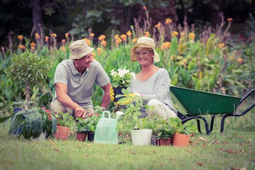 Professional lawn renovation in Chingford