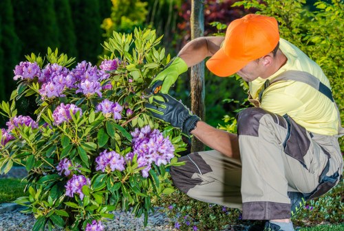 Reusable garden materials prepared for charity partnership and recycling