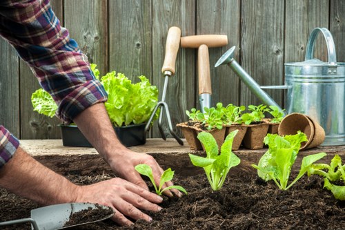 Planning a landscaping project for a Chingford home garden