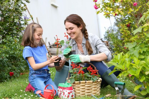 Popular garden features used in landscaping in Chingford