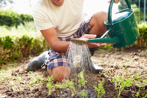 Modern and traditional garden design ideas for Chingford properties