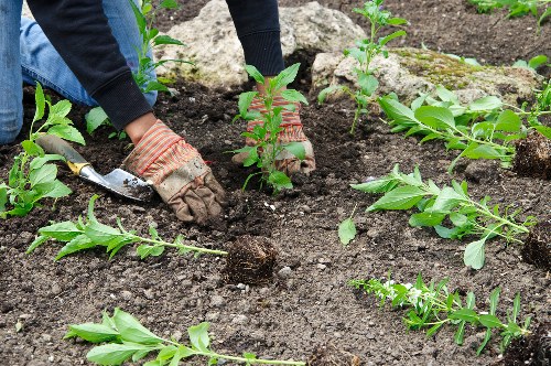 Safe landscaping operations with controlled waste removal on site