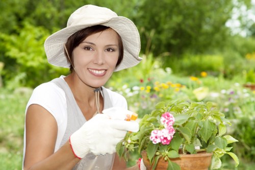 Hedge trimming and structured garden maintenance in Chingford
