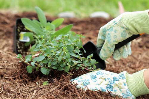 Autumn garden maintenance in Chingford with leaf clearance and pruning