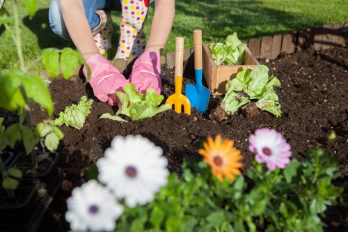 Planning a garden renovation project in Chingford