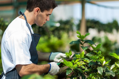 PCI compliant payment security for Landscapers Chingford