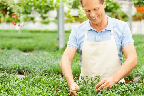 Seasonal flowers and shrubs for Chingford garden beds