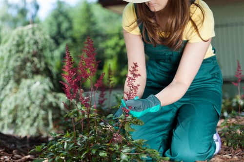 Professional lawn mowing in a Chingford garden