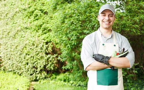 Requesting accessibility assistance for Chingford landscaping services