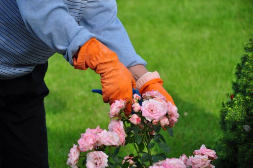 SSL encrypted online payment protection for landscaping services