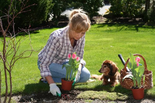 Chingford landscape design materials and garden preparation