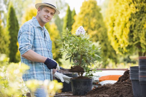 Common hedge types found in Chingford gardens during trimming