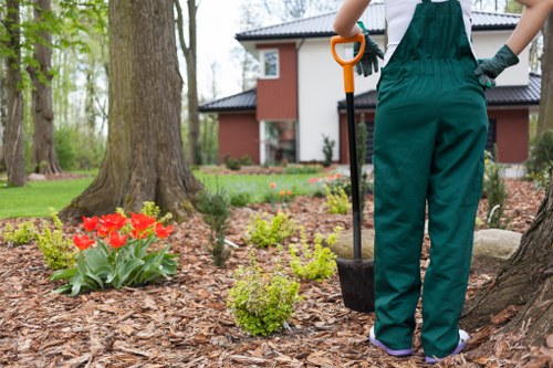 Seasonal planting and low-maintenance garden design in Chingford