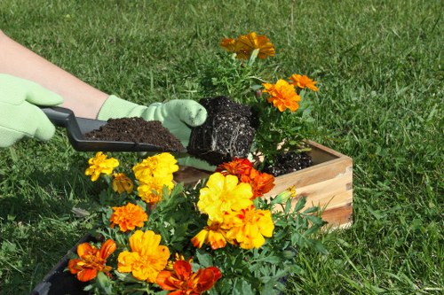 Outdoor garden planning and layout ideas for Chingford homes