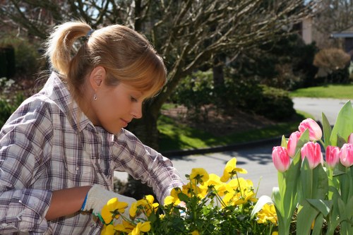 Planning a new garden flower bed in Chingford