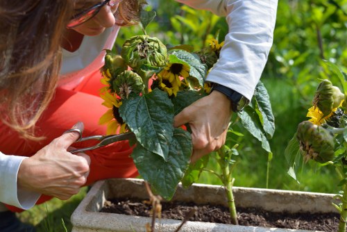 Free quote policy for local landscaper services